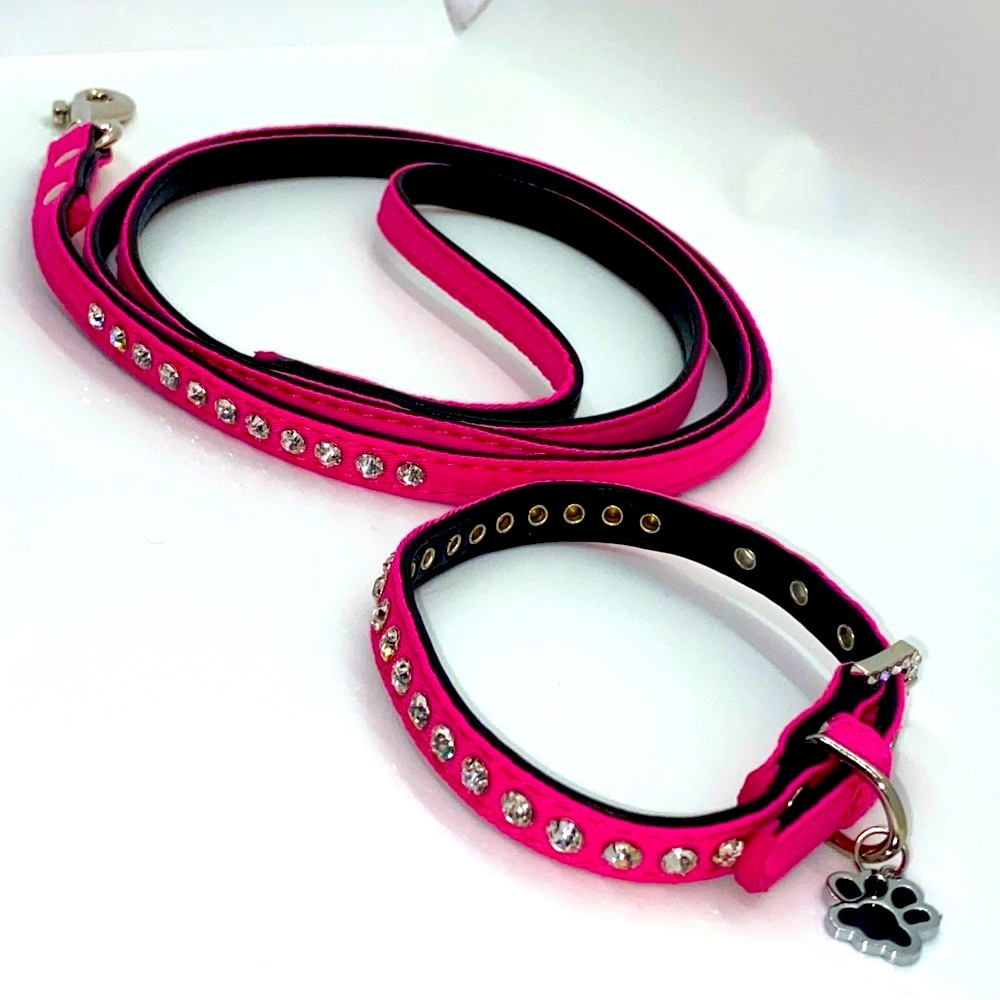 NWOT Leather Collar & Leash with Paw Charm & Studs